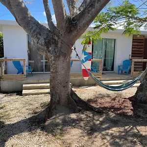 https://las-olas-beach-apartments.top-hotels-puertorico.com